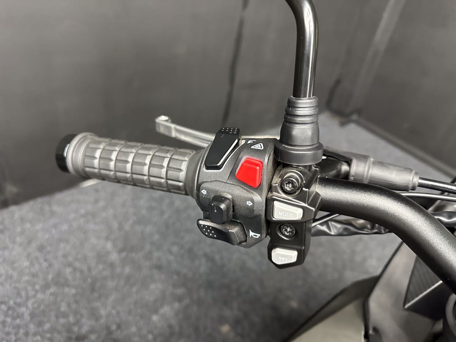 BRAND NEW - MUTT STRAVIG 401