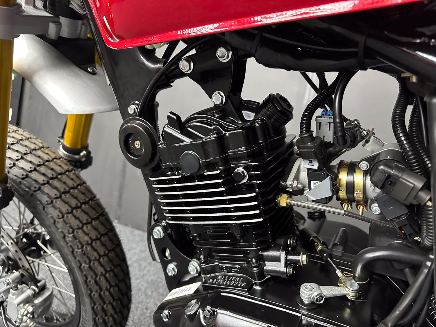 BRAND NEW MUTT RAZORBACK 125